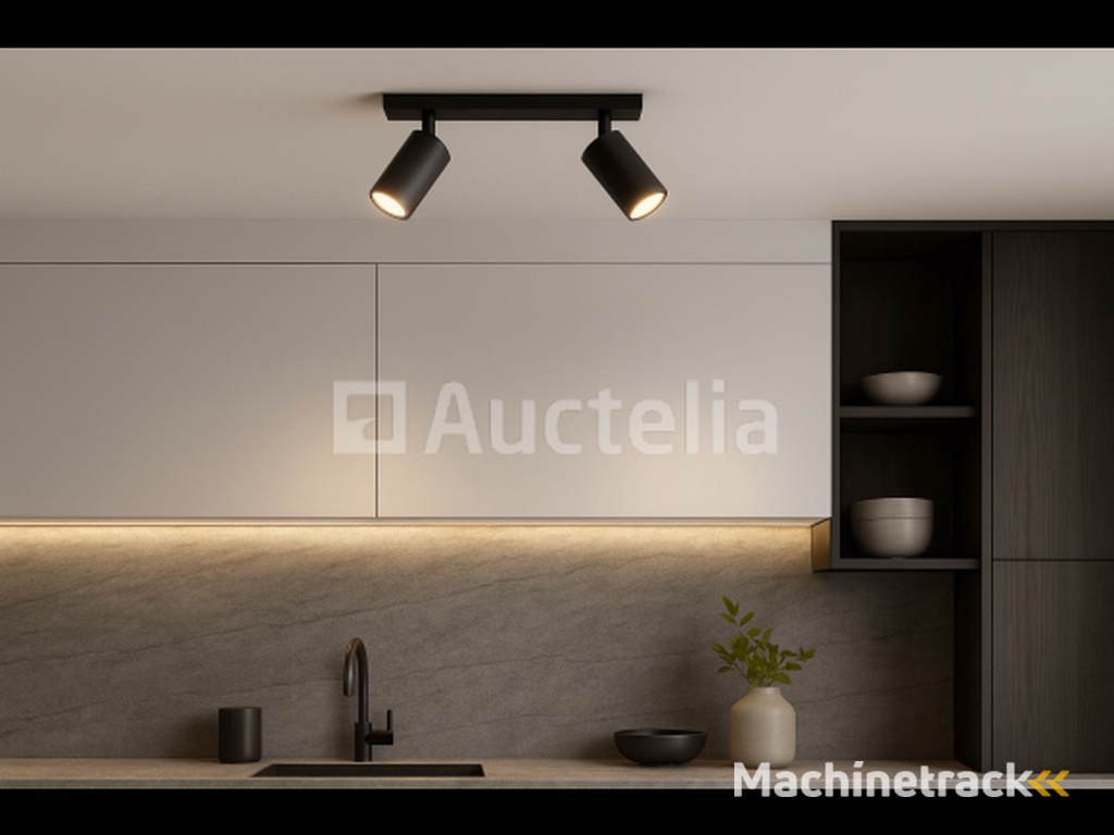 10 x GU10 surface-mounted luminaire – 2 rotatable spotlights – black – aluminium – rotatable 350°/70° – IP20