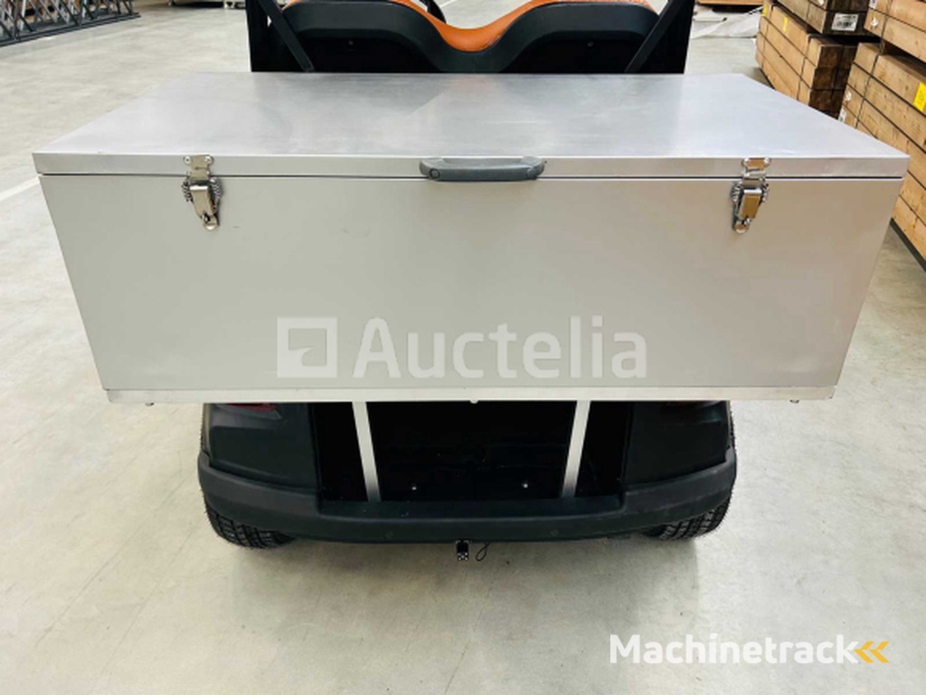 RTE - Golf cart with storage box Matt black