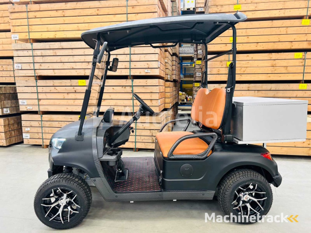 RTE - Golf cart with storage box Matt black