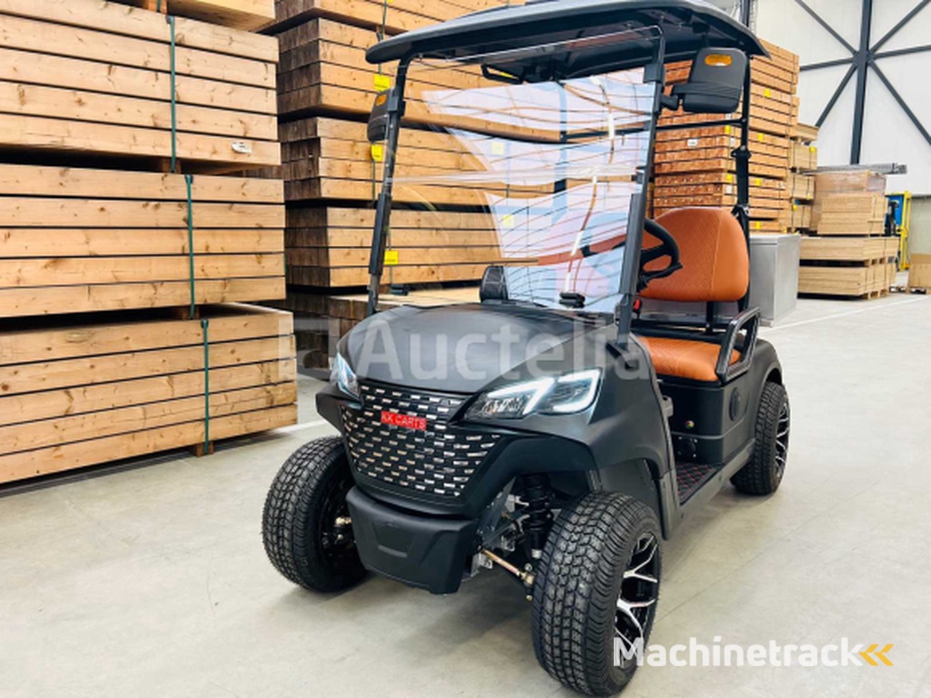 RTE - Golf cart with storage box Matt black