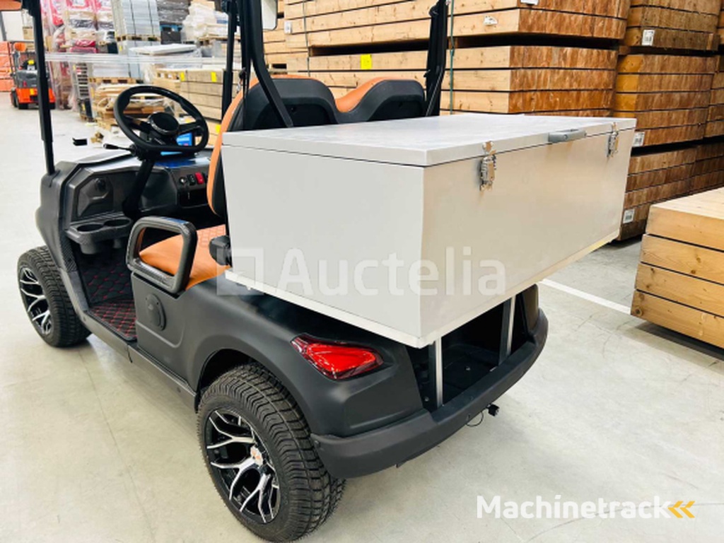 RTE - Golf cart with storage box Matt black