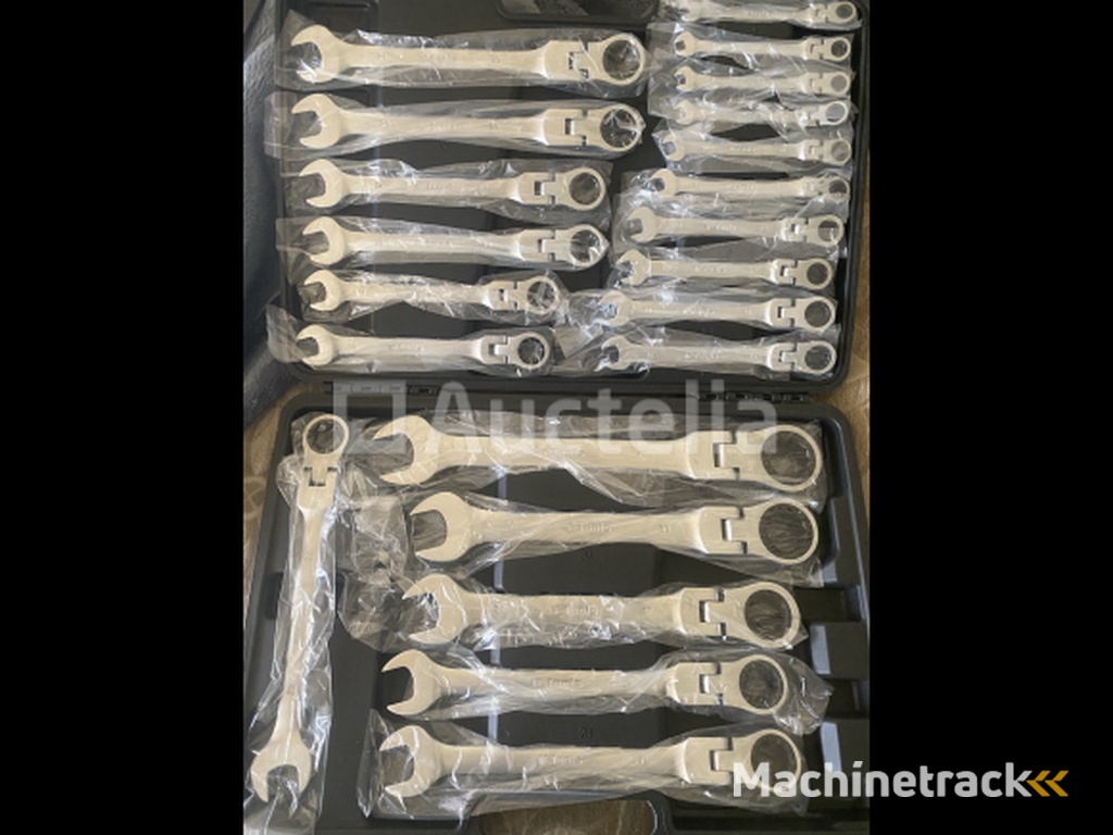 22 delige flexibele Ringratel-steeksleutel set 6-32mm
