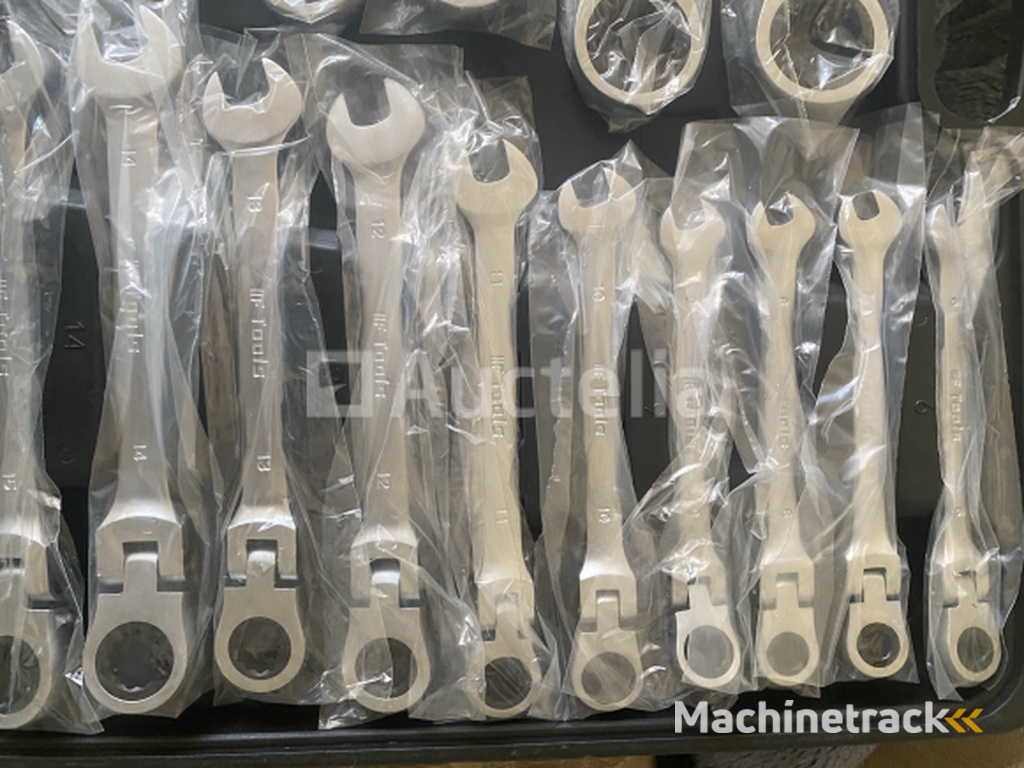 22 delige flexibele Ringratel-steeksleutel set 6-32mm