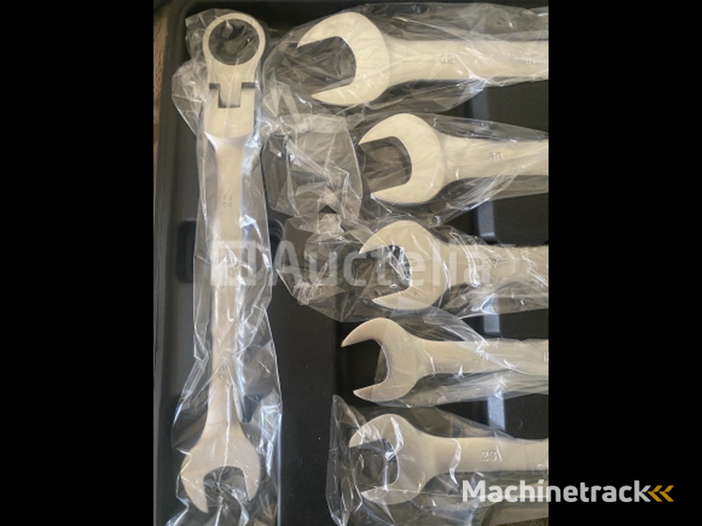 22 delige flexibele Ringratel-steeksleutel set 6-32mm