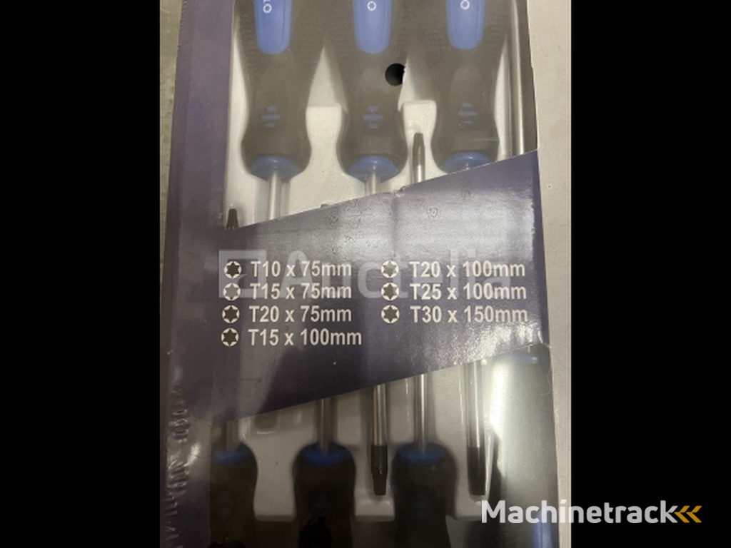 Set torx schroevendraaiers