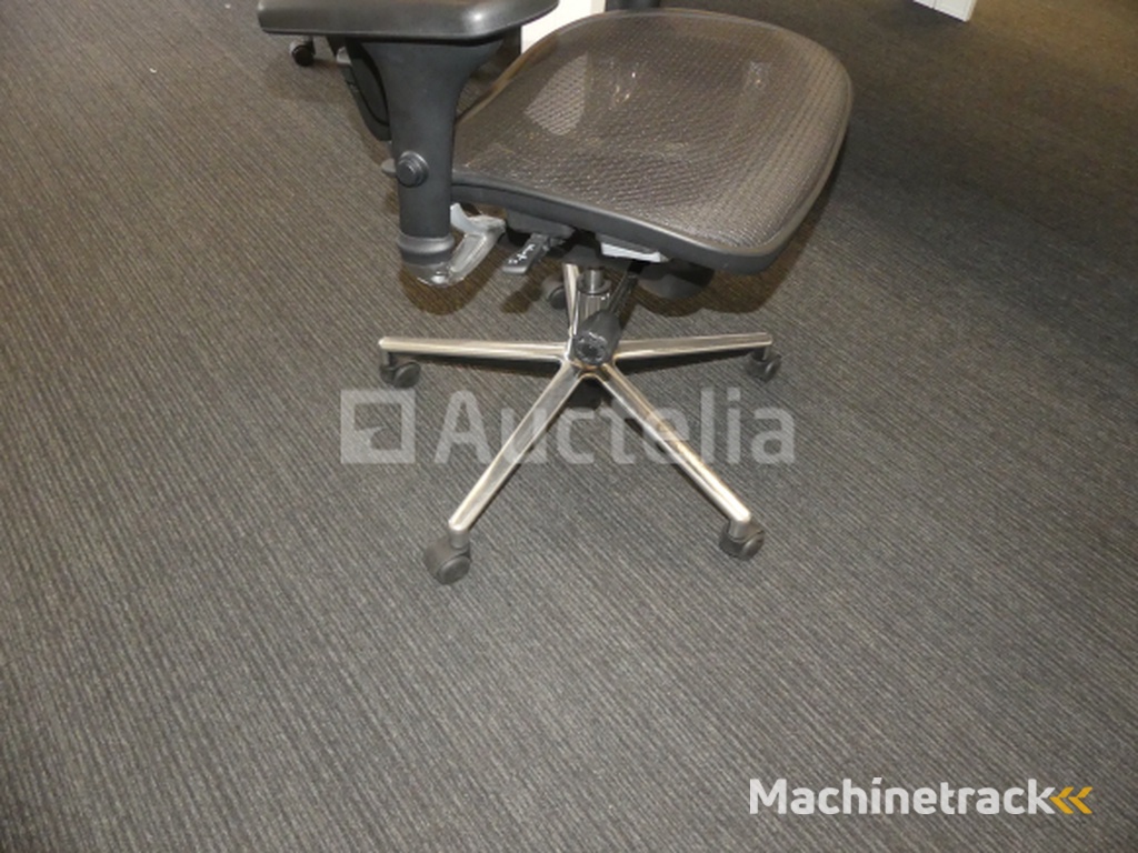 2 Ergonomic office chairs