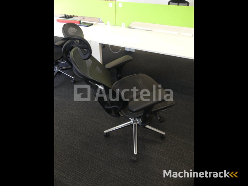2 Ergonomic office chairs