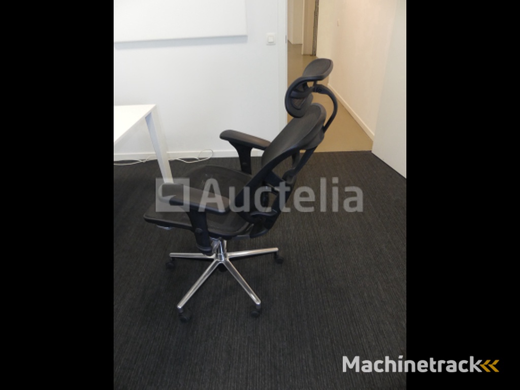 2 Ergonomic office chairs
