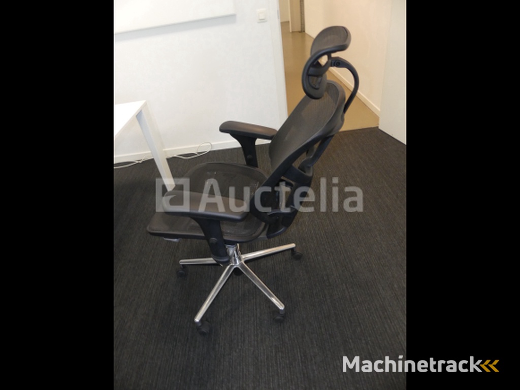 2 Ergonomic office chairs