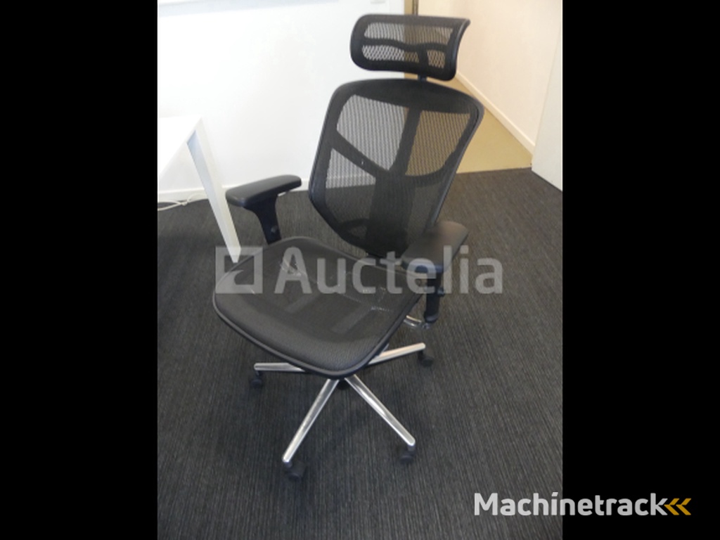 2 Ergonomic office chairs