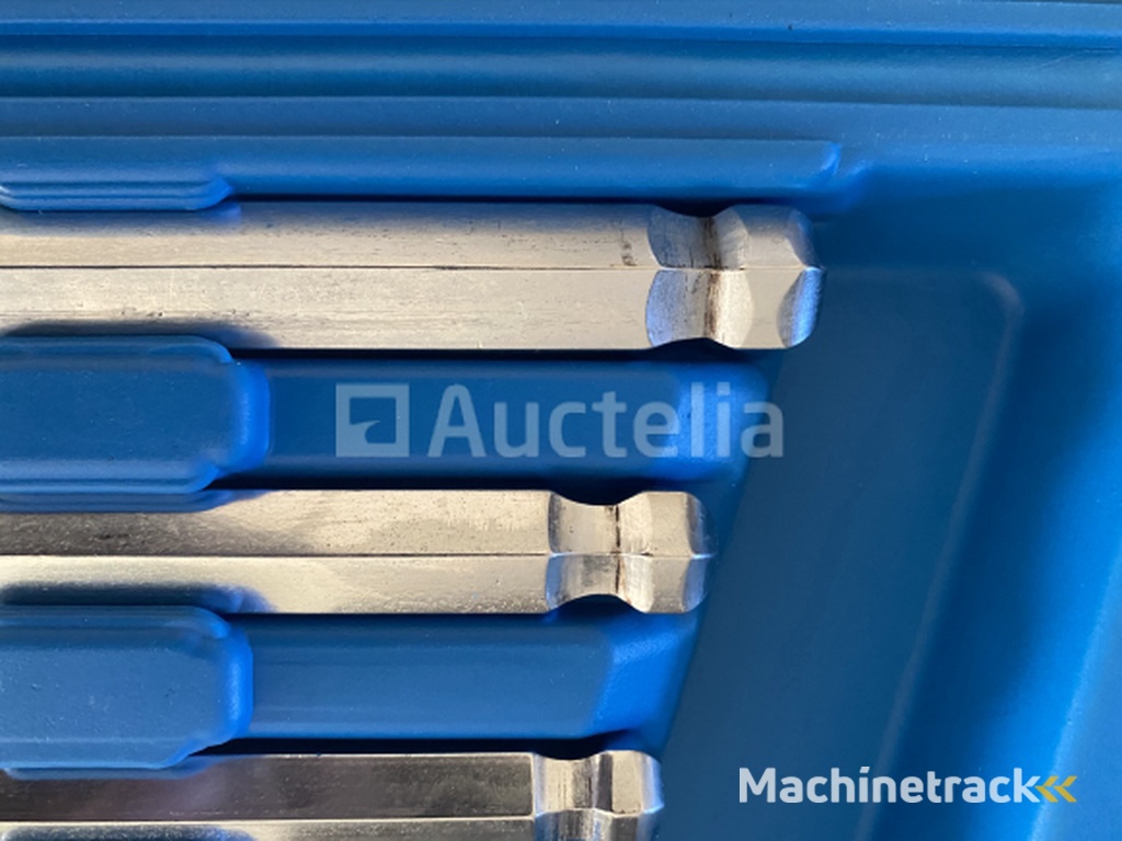 Extra lange Imbus 10 delig in luxe koffer