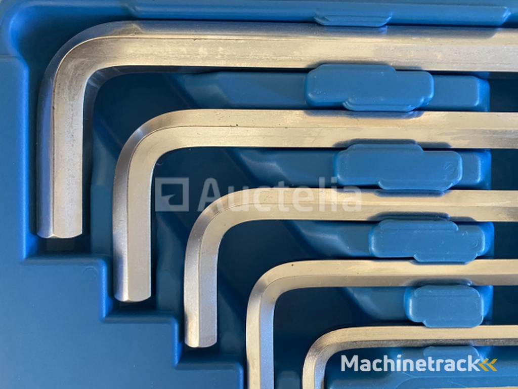 Extra lange Imbus 10 delig in luxe koffer