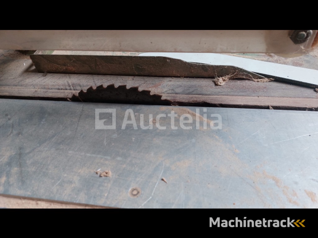 Vertongen Paneelzaag met voorritser