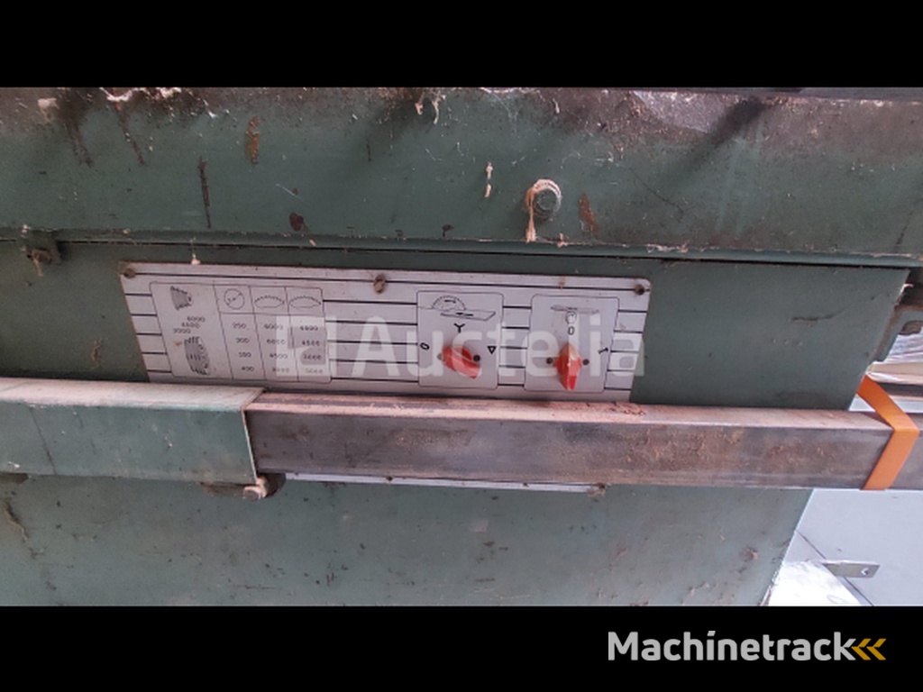 Vertongen Paneelzaag met voorritser