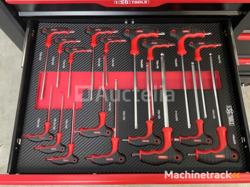 Tool trolley SG tools 311 pieces
