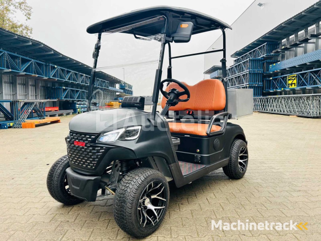 RTE - Golf cart with storage box Matt black