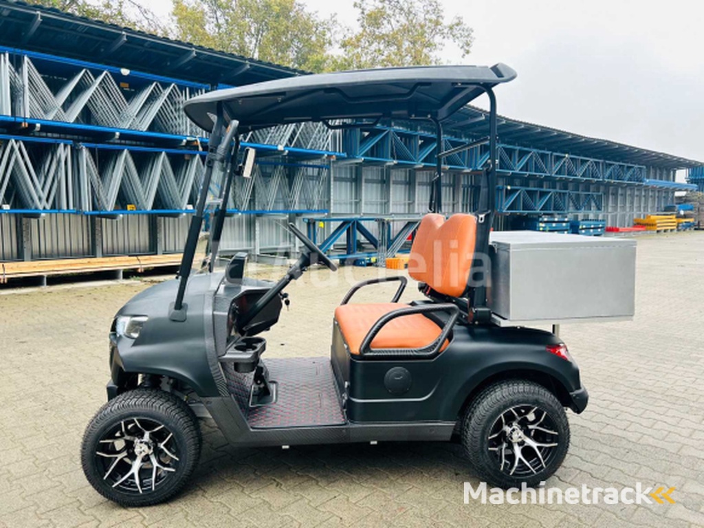 RTE - Golf cart with storage box Matt black