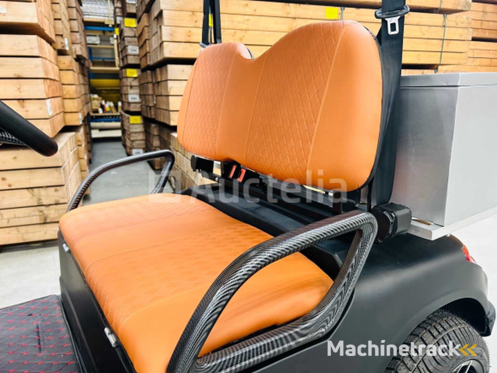 RTE - Golf cart with storage box Matt black