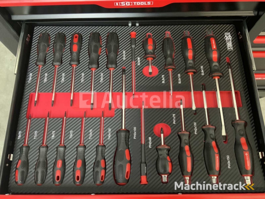 Tool trolley SG tools 311 pieces