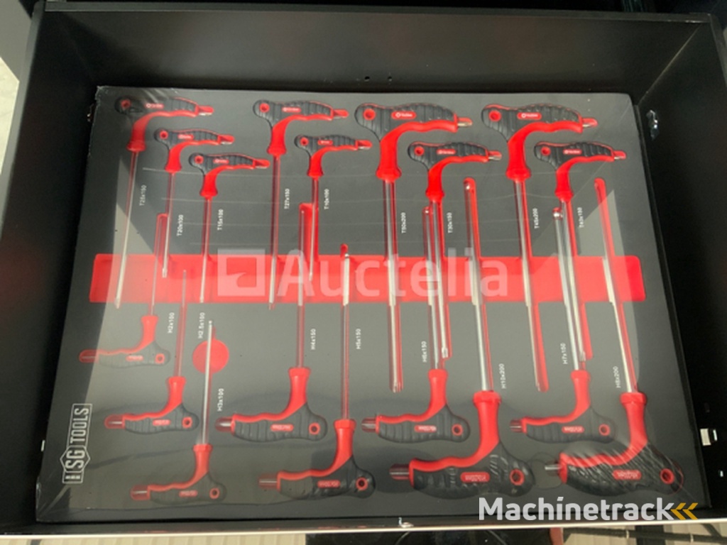 Tool trolley Stahlgruppe 258 pieces