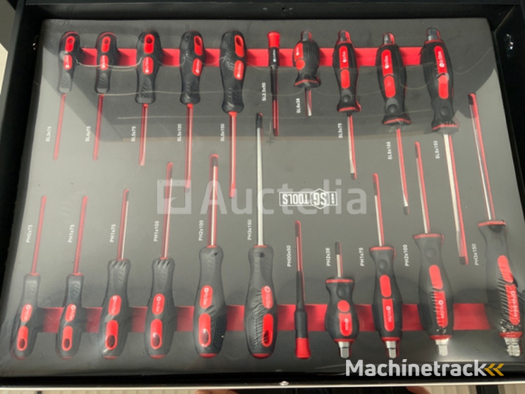 Tool trolley Stahlgruppe 258 pieces
