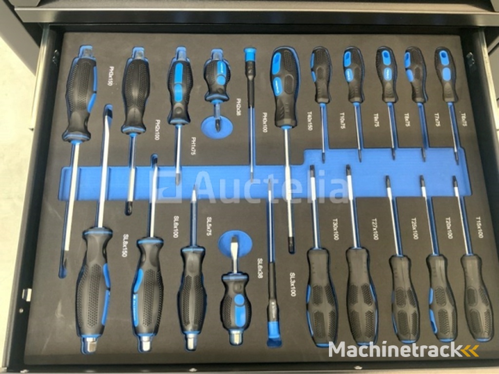 Tool trolley 250 pieces