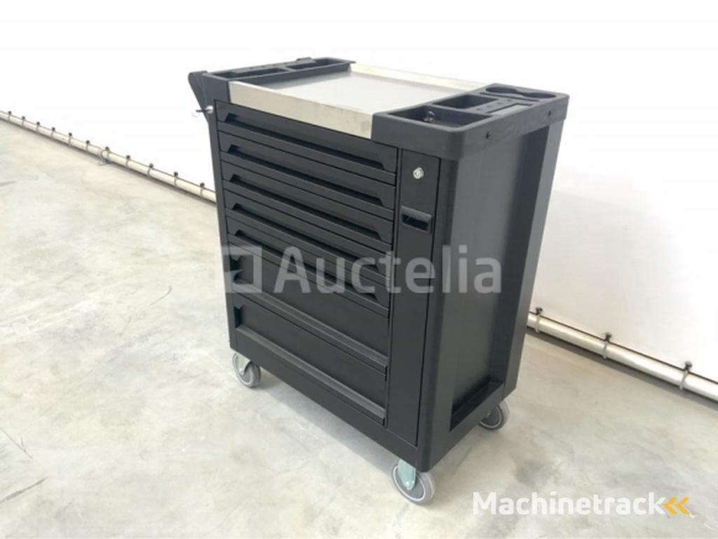 Tool trolley 250 pieces