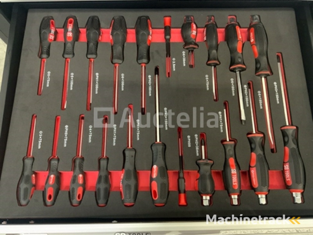 Gereedschapswagen SG-Tools 257-delig