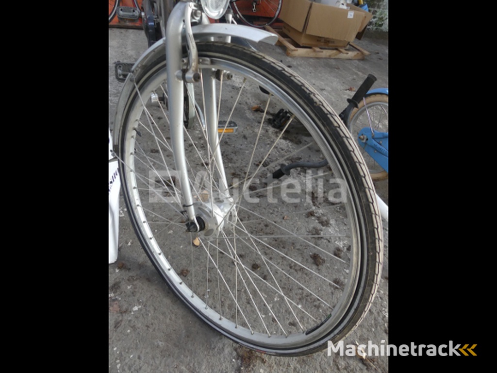 Venturelli Hybrid series tandem bike