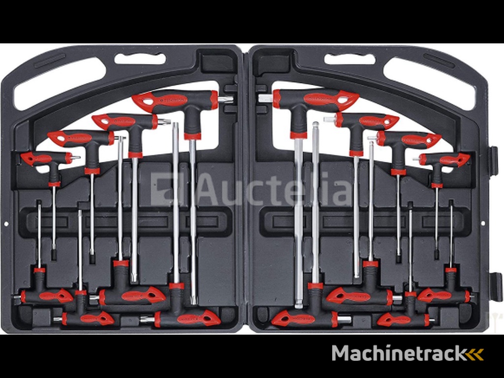 16 piece Torx and Allen set