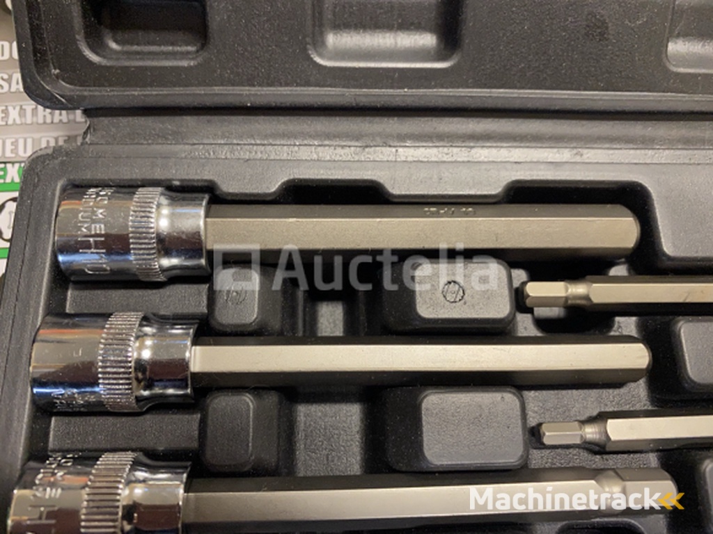 Socket set extended Allen key