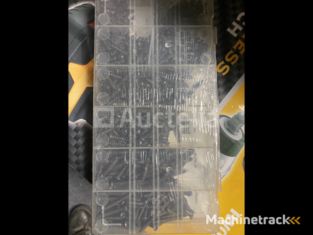 Assortment of metal screws