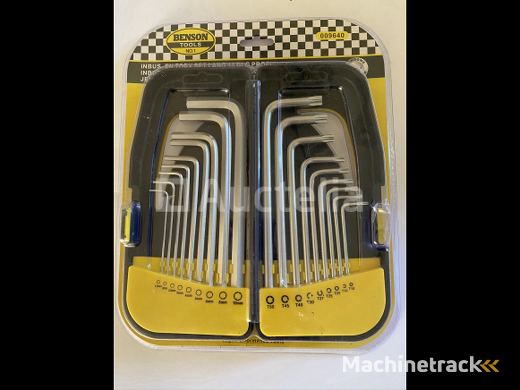 Allen and Torx set in case