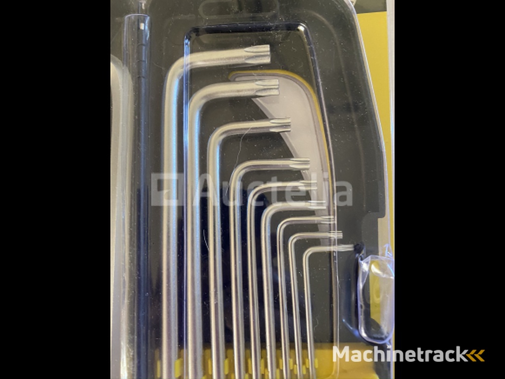 Allen and Torx set in case