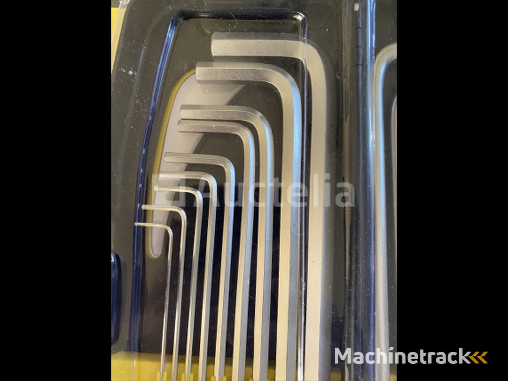 Allen and Torx set in case