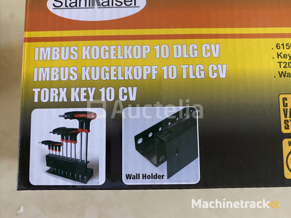 Torx set with rack with allen ball head 10 pieces