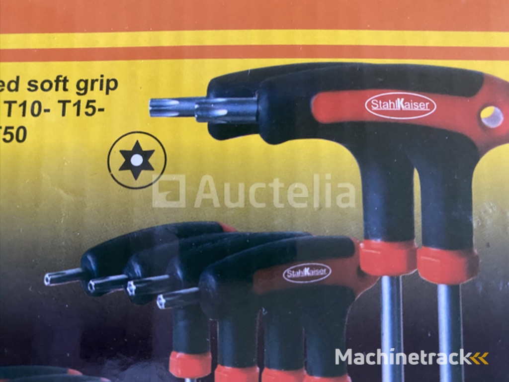 Torx set with rack with allen ball head 10 pieces