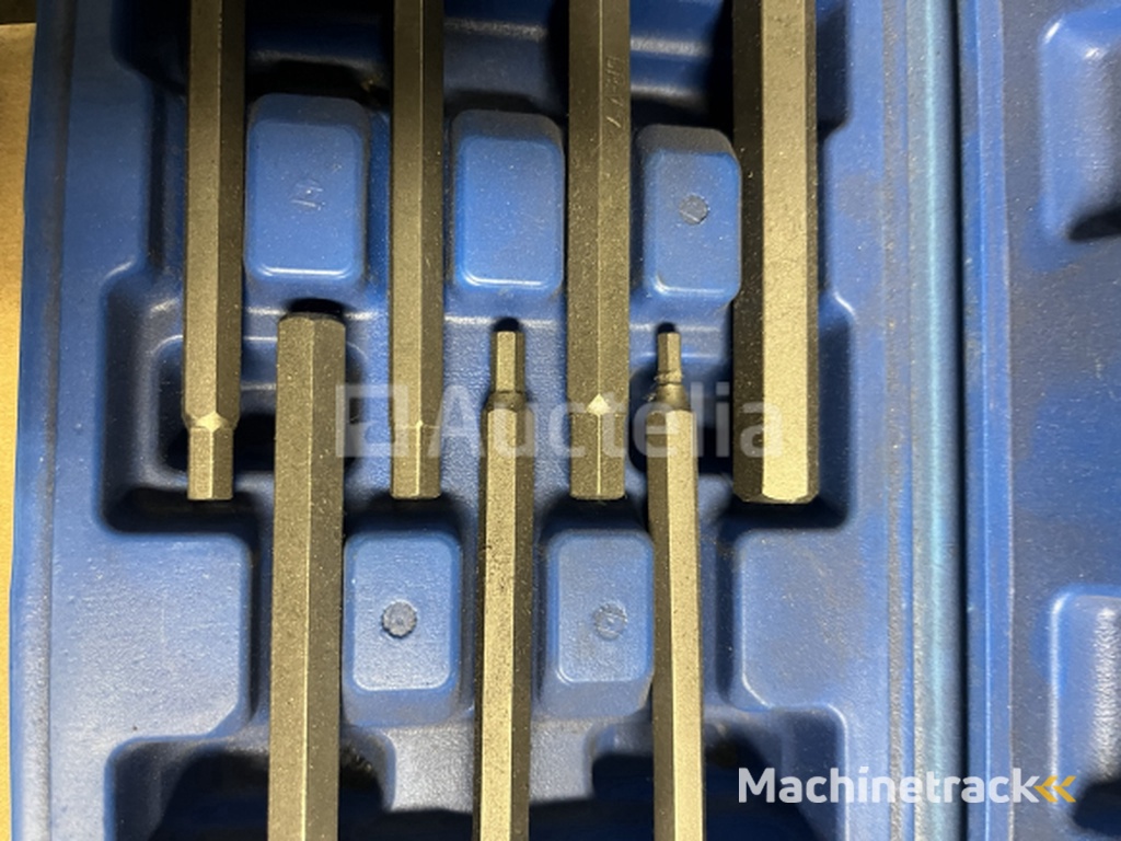 2 x verlengde bit dopset veeltand en inbus