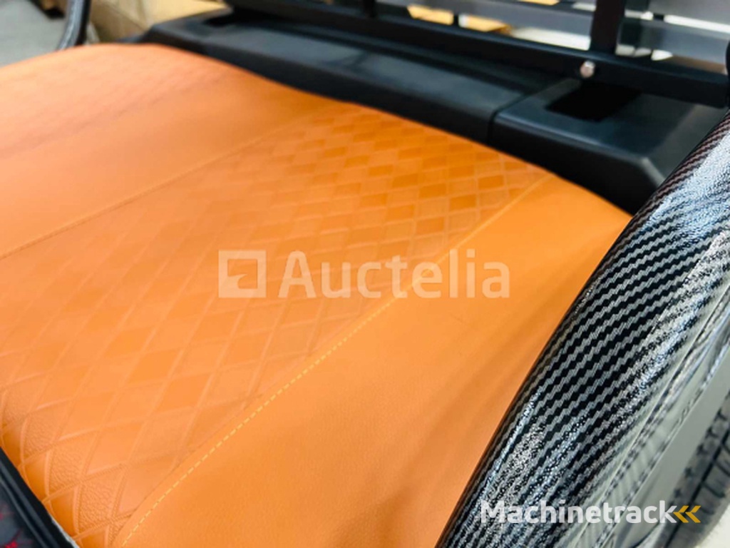 RTE - Golfkar met opslagbox Mat zwart