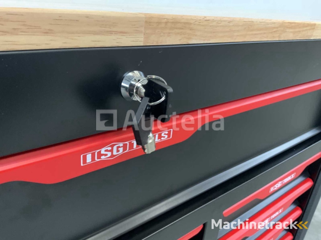 Gereedschapswagen SG tools 311 delig