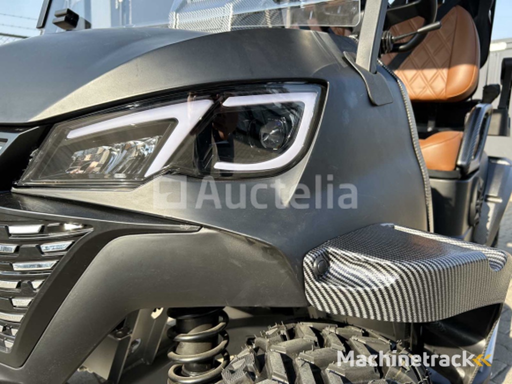 RTE - 2025 - Elektrische golfkar 2+2 zits