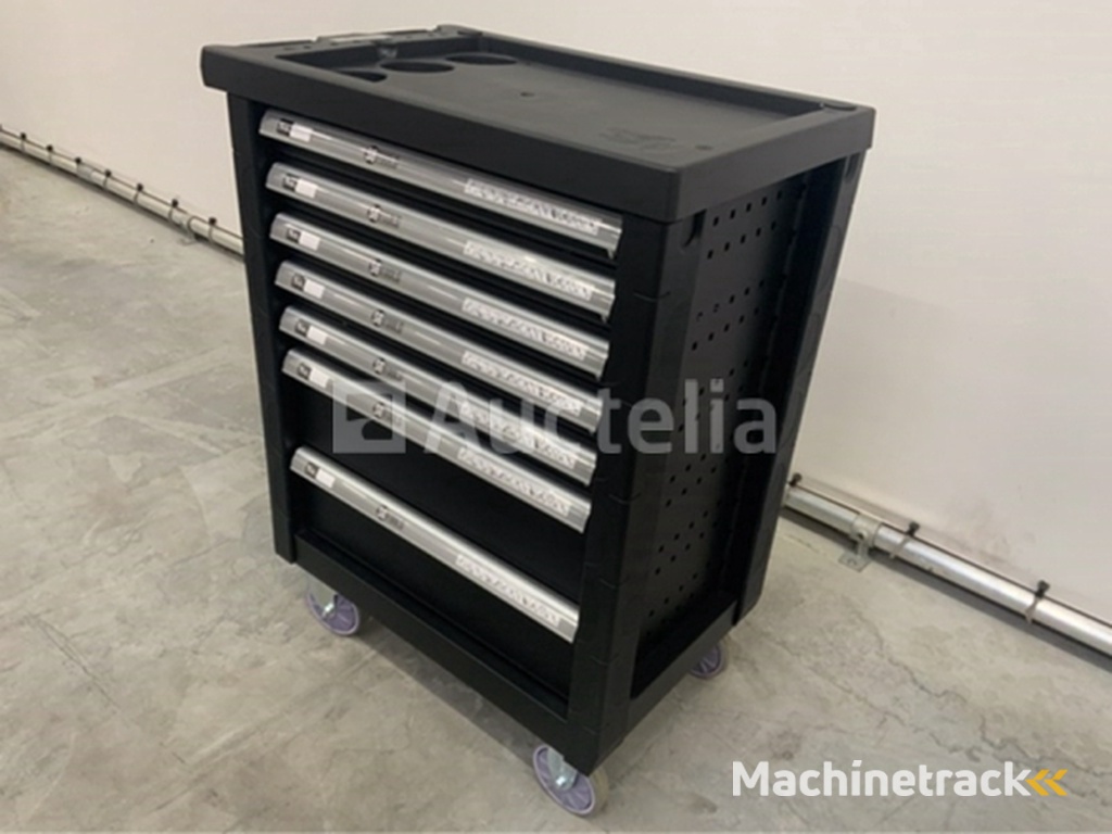 Gereedschapswagen SG-Tools 257-delig