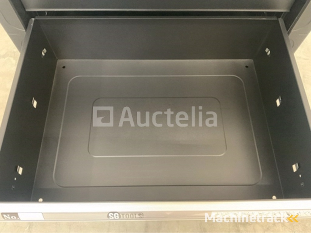 Gereedschapswagen SG-Tools 257-delig