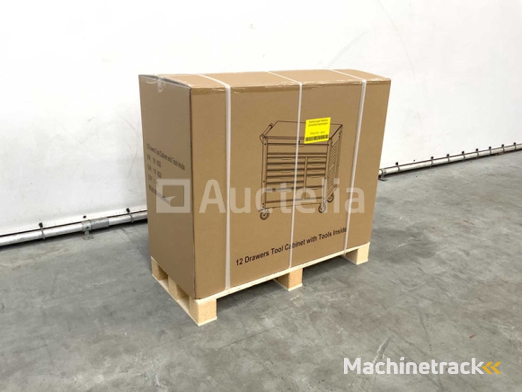 Tool trolley SG tools 311 pieces