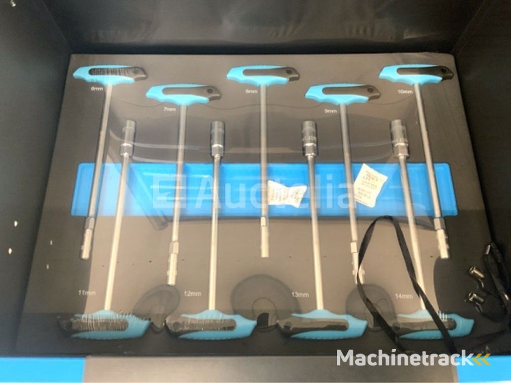 Stahlgruppe JUMBO 13 drawer tool trolley