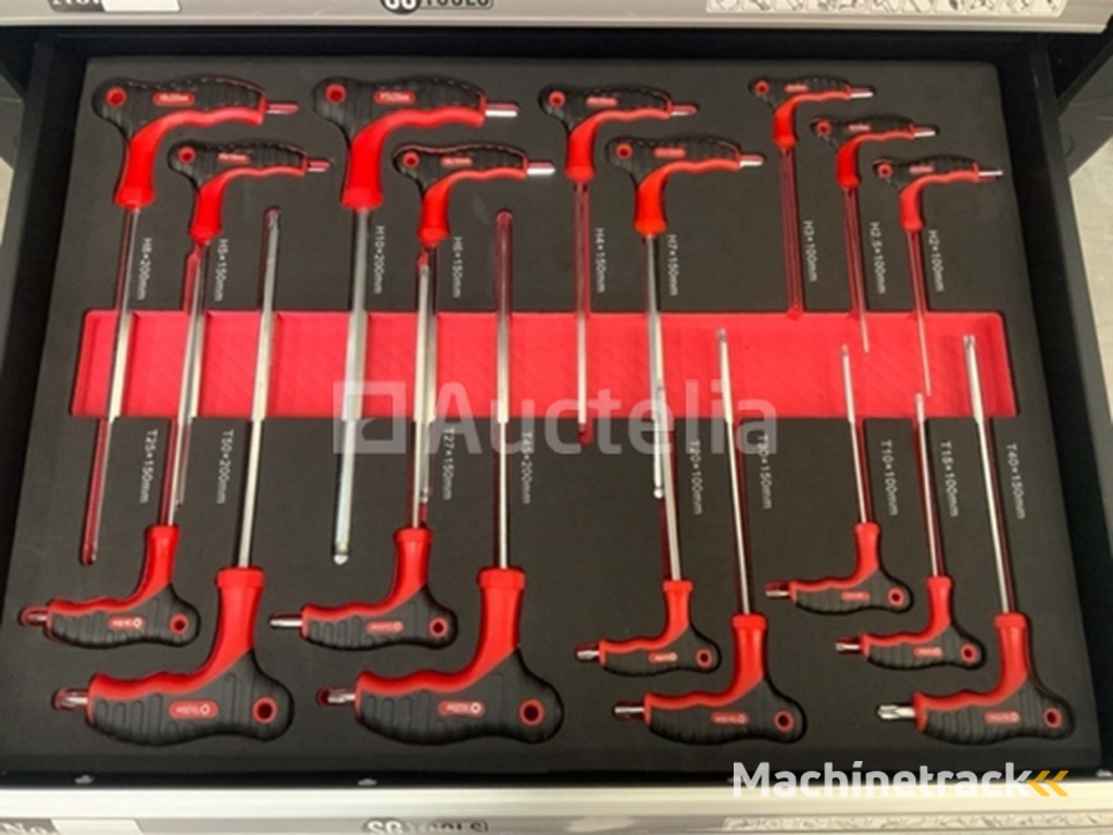 Gereedschapswagen SG-Tools 257-delig