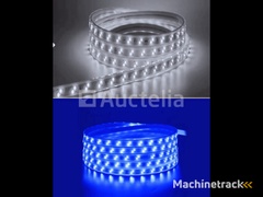2-x-led-strip-25m-–-10w-m-–-blue-cold-white-–-ip65-waterproof-–-smd-2835