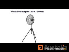 stier-pedestal-fan