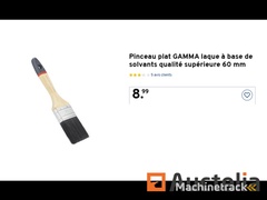 2-x-60-mm-gamma-flat-brushes