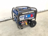 Minituur van Ford FGT9250E  Benzine Generator
